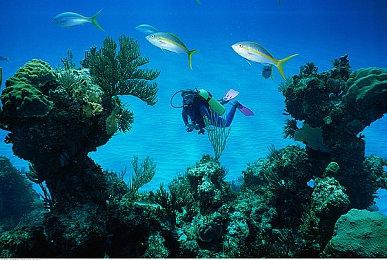 《我们把似曾相见的「那些游戏」都做成了火柴人，可是你又能否成功过关呢？》上线